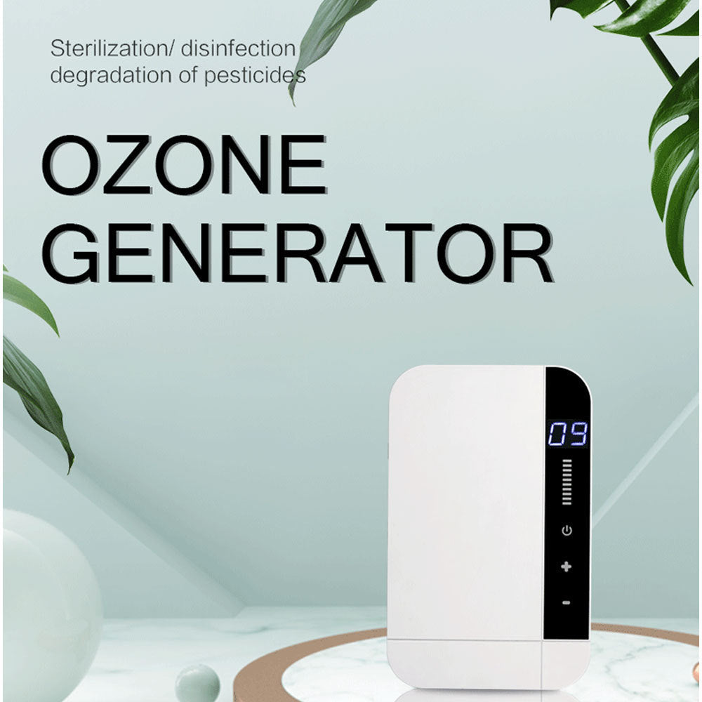 Household Kitchen Air Purifier – Ozone Generator for Air and Food Sterilization